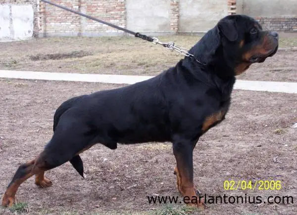 MULTI V1 5XSG, Cliff von der Königskanzel