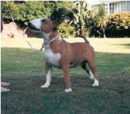 Regurk Senorita of Lubjan