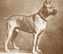 Murillo von der Passage