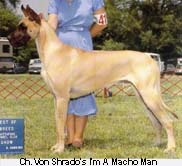 CH Von Shrado's I'm A Macho Man