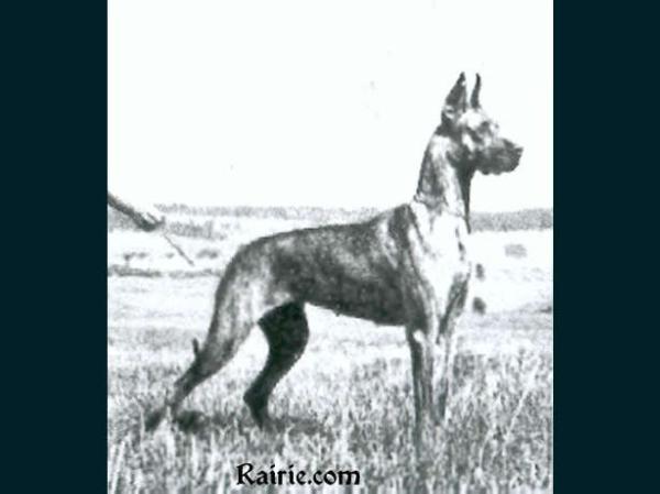 Thora von Birkenhof
