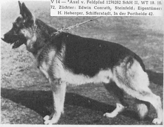 V Axel vom Feldpfad