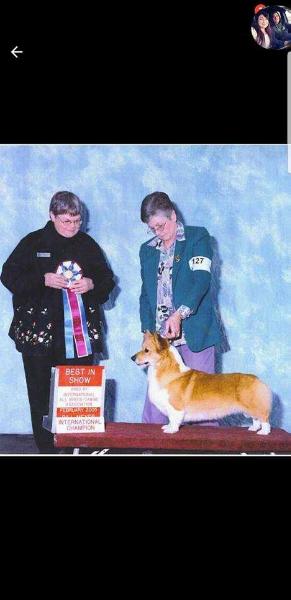 INT. CH Skiak's Paus-A-Bility