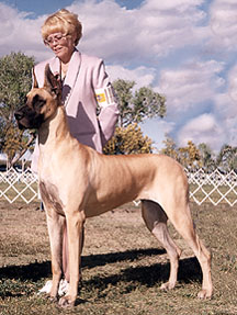 CH Rocwind's I'm A Keeper Too