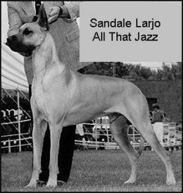 Sandale Larjo All That Jazz