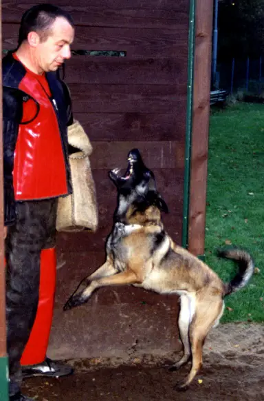 SG Fury des Teutones