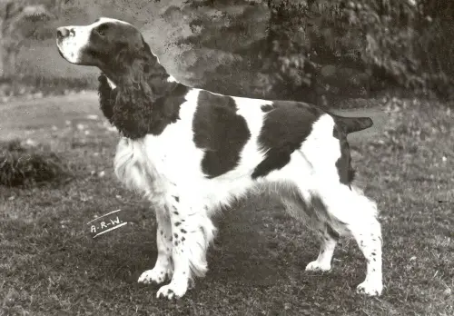 SH CH Ardencote Tapestry