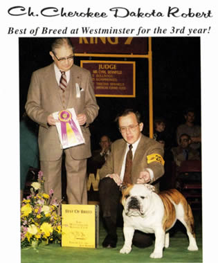 BIS/BISS CH (AKC) Cherokee Dakota Robert