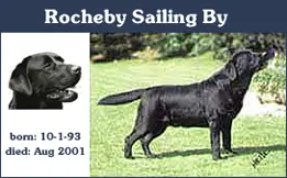 CH SH Rocheby Sailing By