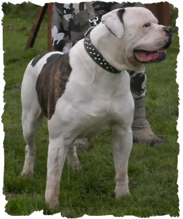 James' Jackpot of Barker