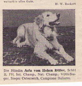 ICH,CH-VDH Asta vom Hohen Riffler