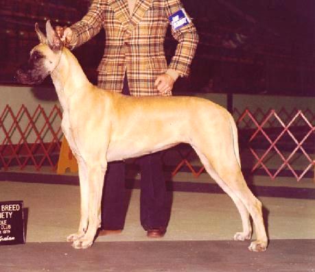 CH Von Shrado's Bit of Grenadilla