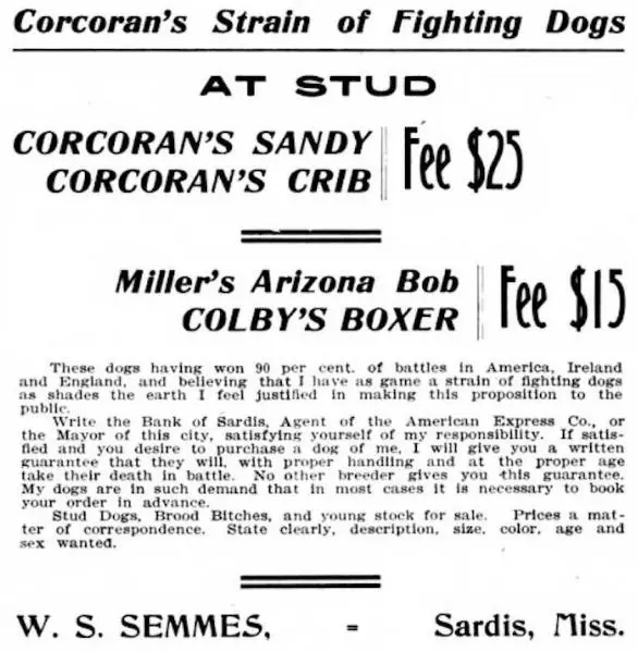 Corcoran's Sandy
