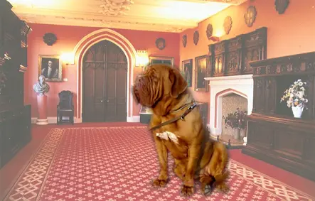 Hella Of Fella From Michel