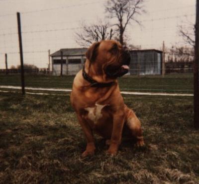 Nero Van Douvergenhout