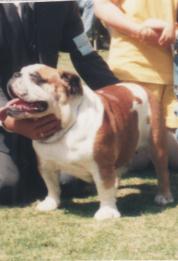 CH MX Piro¿s La Bibi