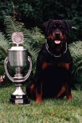 Aska Von Der Burg Dinklage