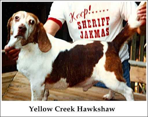 Yellow Creek Hawkshaw