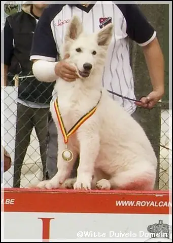 Que Liliana of the White Wolves Home (Kelly)
