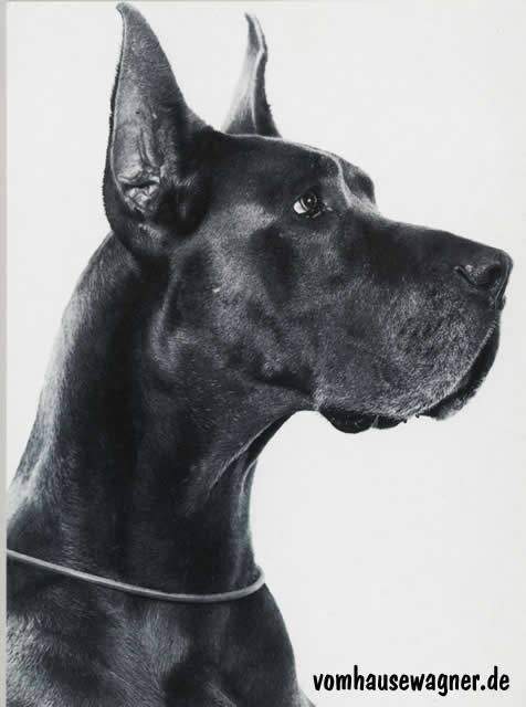 Fleur von Trautheim