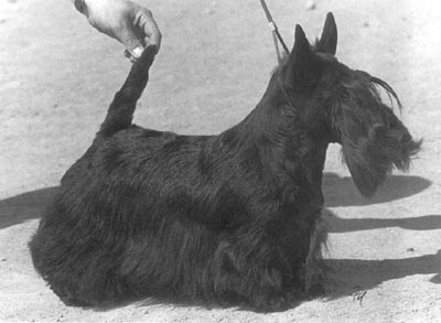 INT/NORD CH Raglan Rebecca