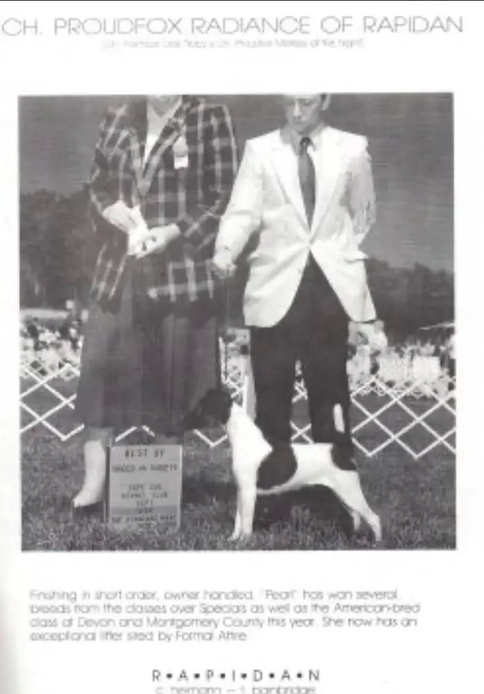 AM CH Proud Fox Radiance of Rapidan
