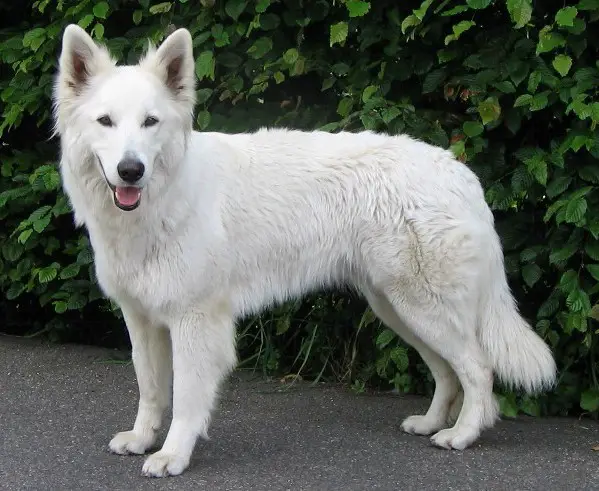 Nice of you to Come Bye Noah