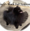 Finch's Black Fad Fashion