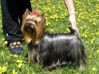 Blue Baby of Maryon's Home