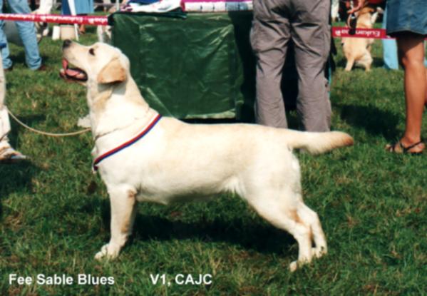 MULTICH Fee Sable Blues