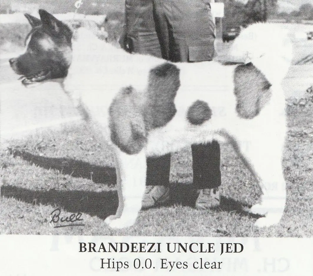 Brandeezi Uncle Jed