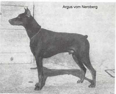 Argus V Neroberg