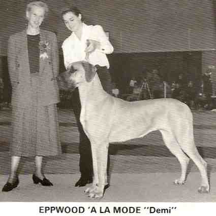 CH Eppwood A La Mode