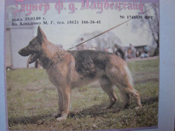 Gauner von der Laubenheid