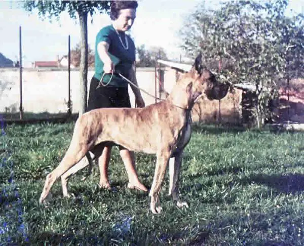 CH INT Nausicaa de la Templerie