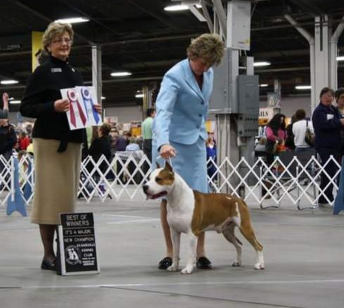 MULTI. AKC.CH Sindelar's Kentucky Boy