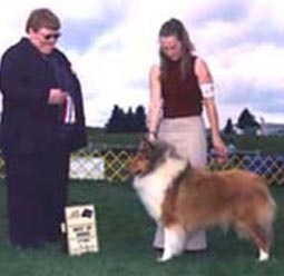 CH Glasgowhill's Tragically Hip