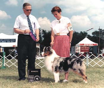 AKC CH Thornapple Dream Lover