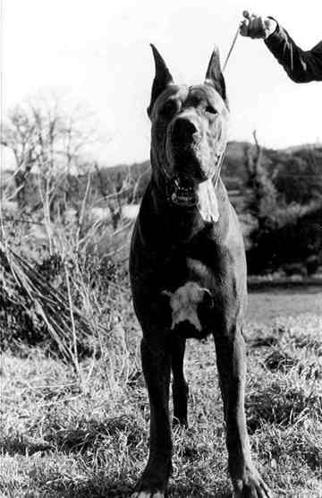 Ustown Des Terres de la Rairie