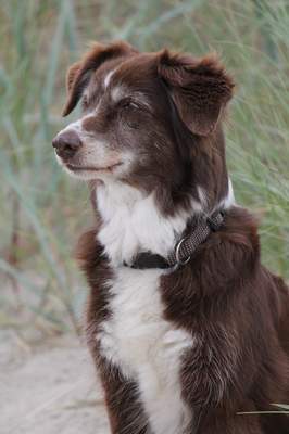 Justus Rustlin Ruby