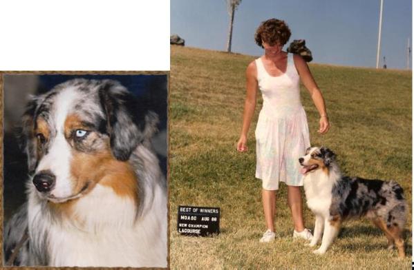 HOF ASCA CH Gaelic Isle Rockin At Midnight