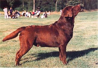 INT FIN ES CH Bubbling Bedouine