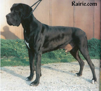 Hemingway von Haus Tiefenbach