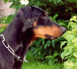 Ohra v.d. Weyermühle