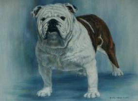 Am Ch Smasher's Al Capp