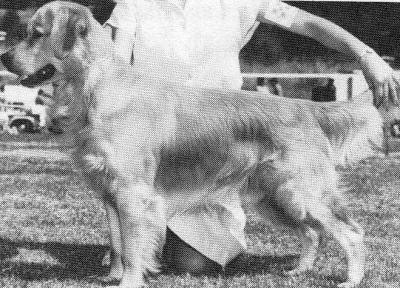 CH Beaulieu's Line Drive