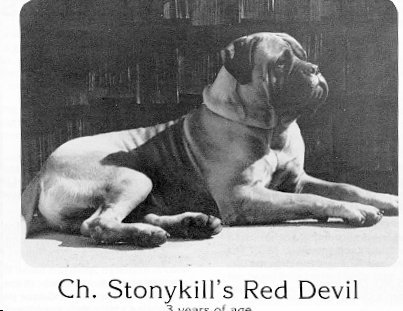 Ch. Stonykills Red Devil