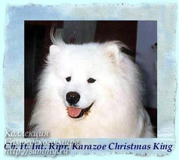 CH IB IT Karazoe Christmas King