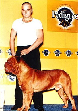 CH Tanakajd Szepe Karo