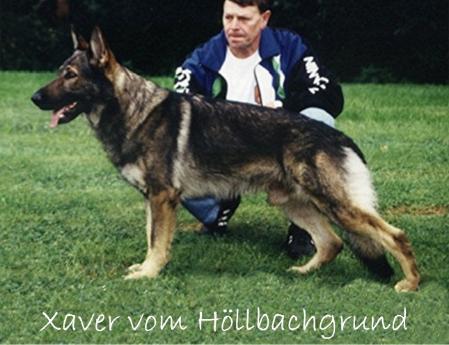 SG Xaver vom Höllbachgrund